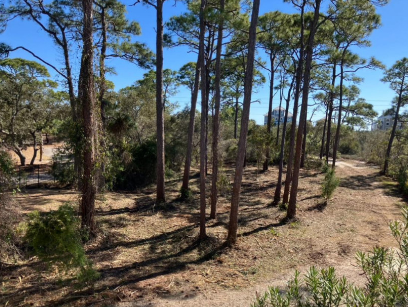 Forestry Mulching