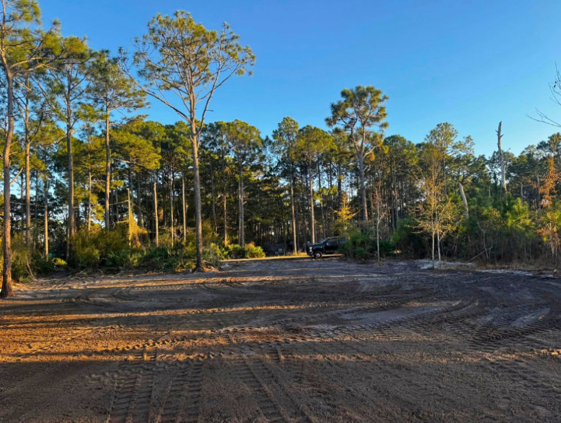 Land Clearing